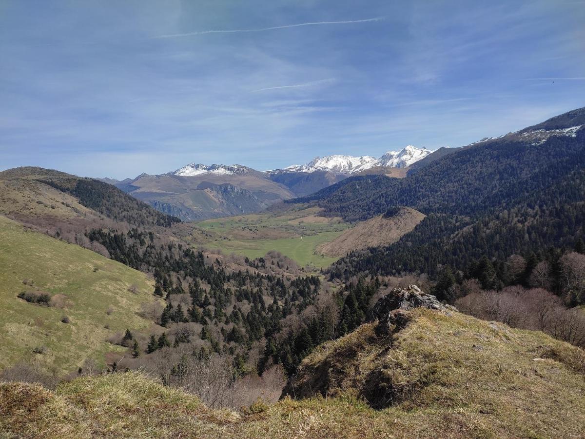 B&B Amphitryon Oloron-Sainte-Marie Buitenkant foto